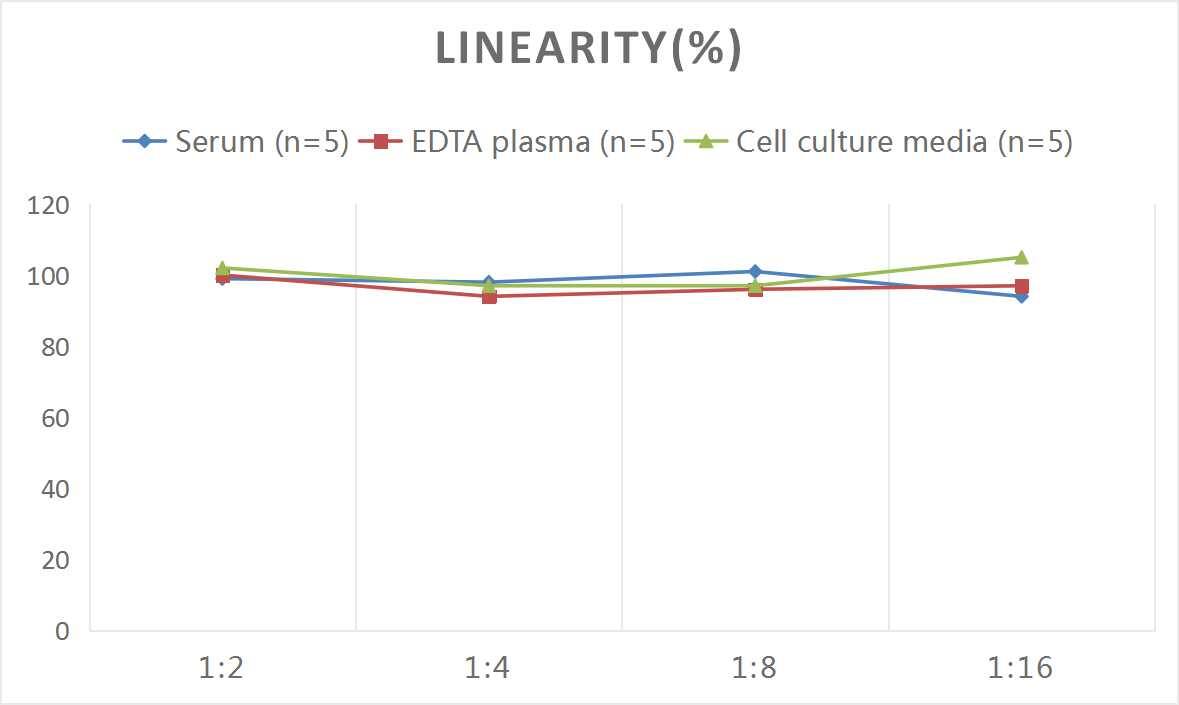 Human Collagen V alpha 2 ELISA Kit (Chemiluminescence)