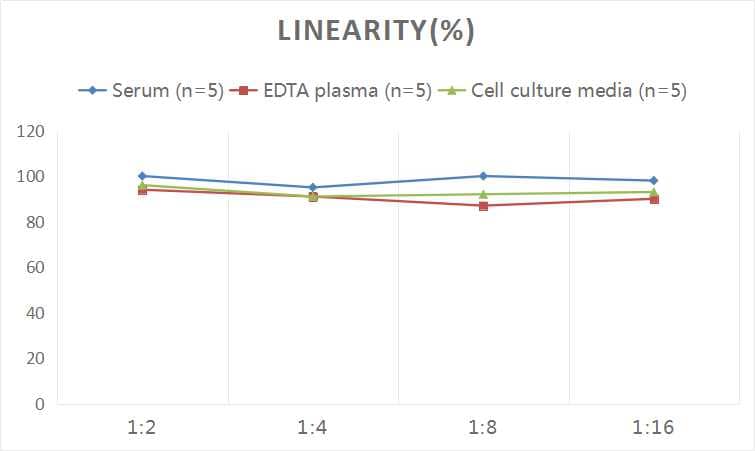 Human Collagen V alpha 2 ELISA Kit (Colorimetric)