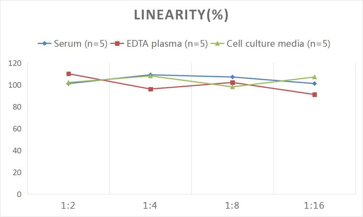 Human Collagen VI ELISA Kit (Chemiluminescence)