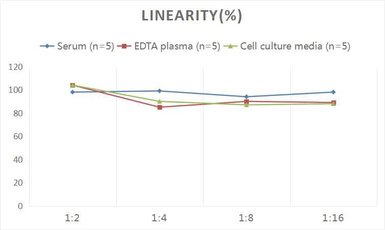 Human Collagen VI ELISA Kit (Colorimetric)