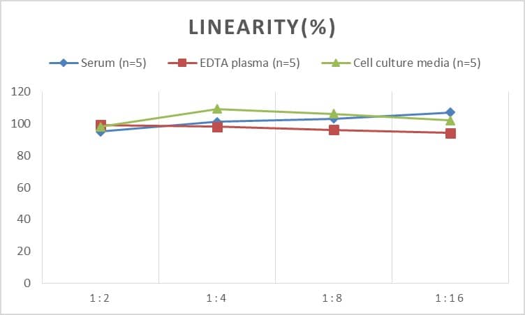 Human Collagen VI alpha 1 ELISA Kit (Chemiluminescence)