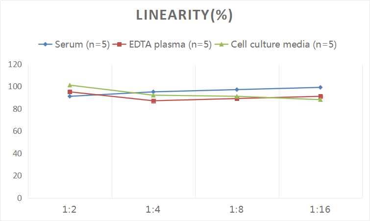 Human Collagen VI alpha 3 ELISA Kit (Colorimetric)