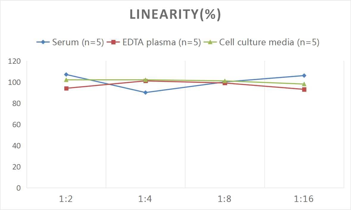 Human Collagen VII ELISA Kit (Chemiluminescence)