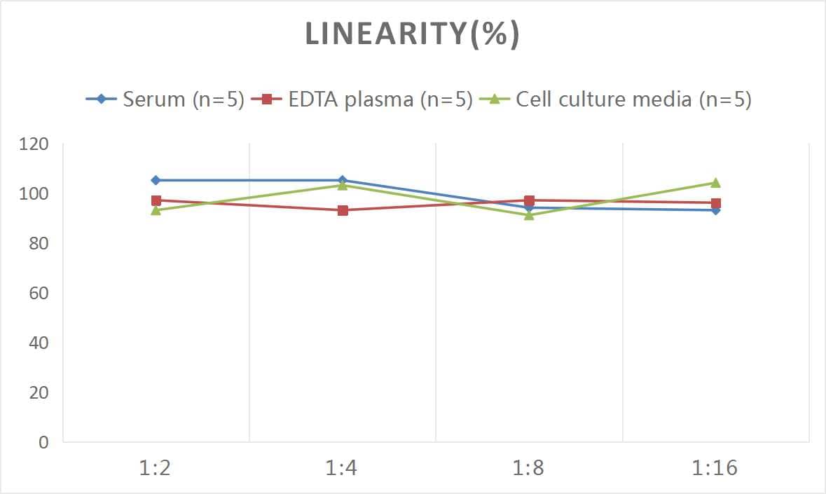 Human Collagen VIII alpha 1 ELISA Kit (Chemiluminescence)