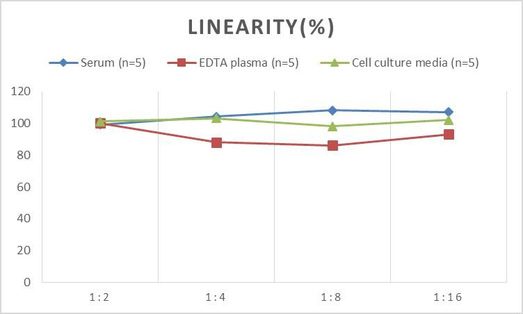 Human Collagen VIII alpha 1 ELISA Kit (Colorimetric)