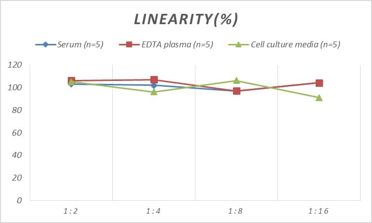 Rat COL9A1 ELISA Kit (Chemiluminescence)