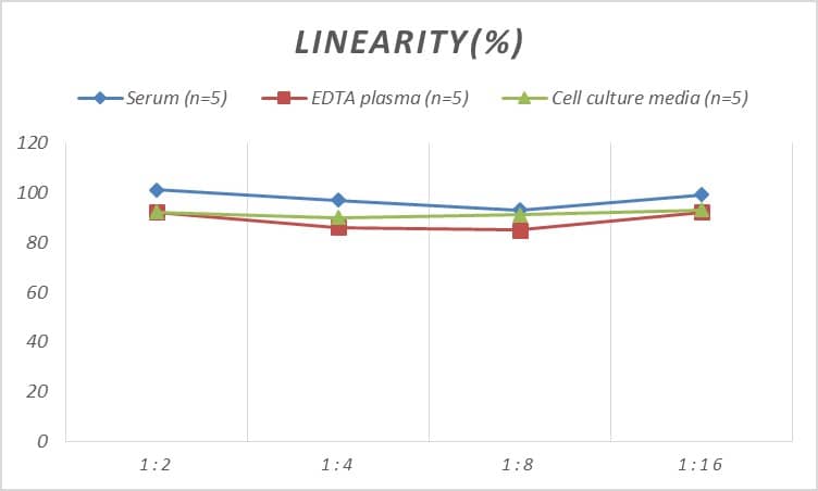 Human COL9A3 ELISA Kit (Colorimetric)