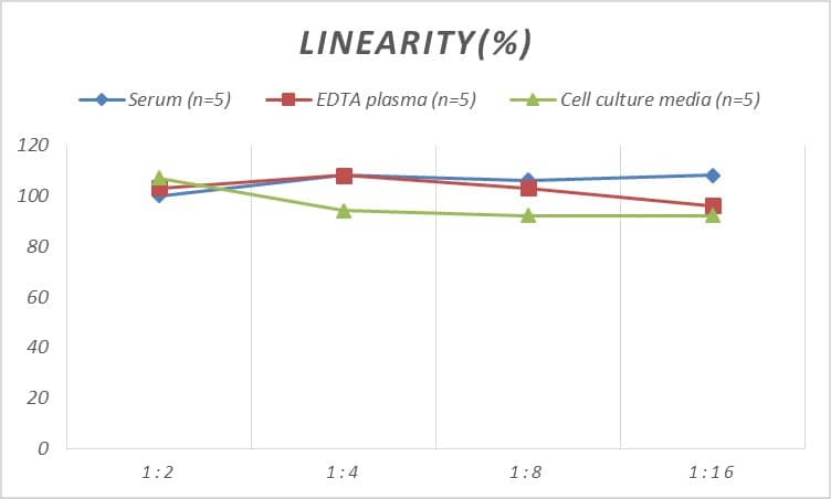 Human Collagenase Type 1 ELISA Kit (Chemiluminescence)