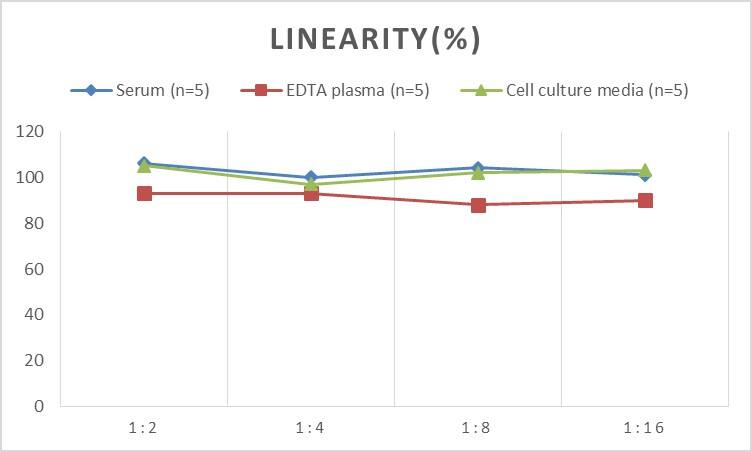 Mouse HSP27 ELISA Kit (Colorimetric)