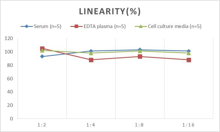 Rat HSP27 ELISA Kit (Colorimetric)