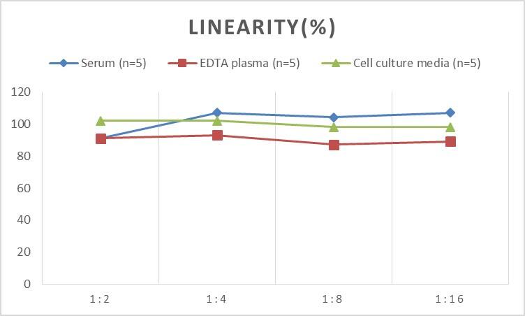 Human HSP40/DNAJB1 ELISA Kit (Colorimetric)