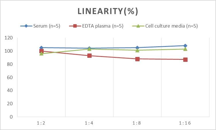 Rat HSP40/DNAJB1 ELISA Kit (Colorimetric)