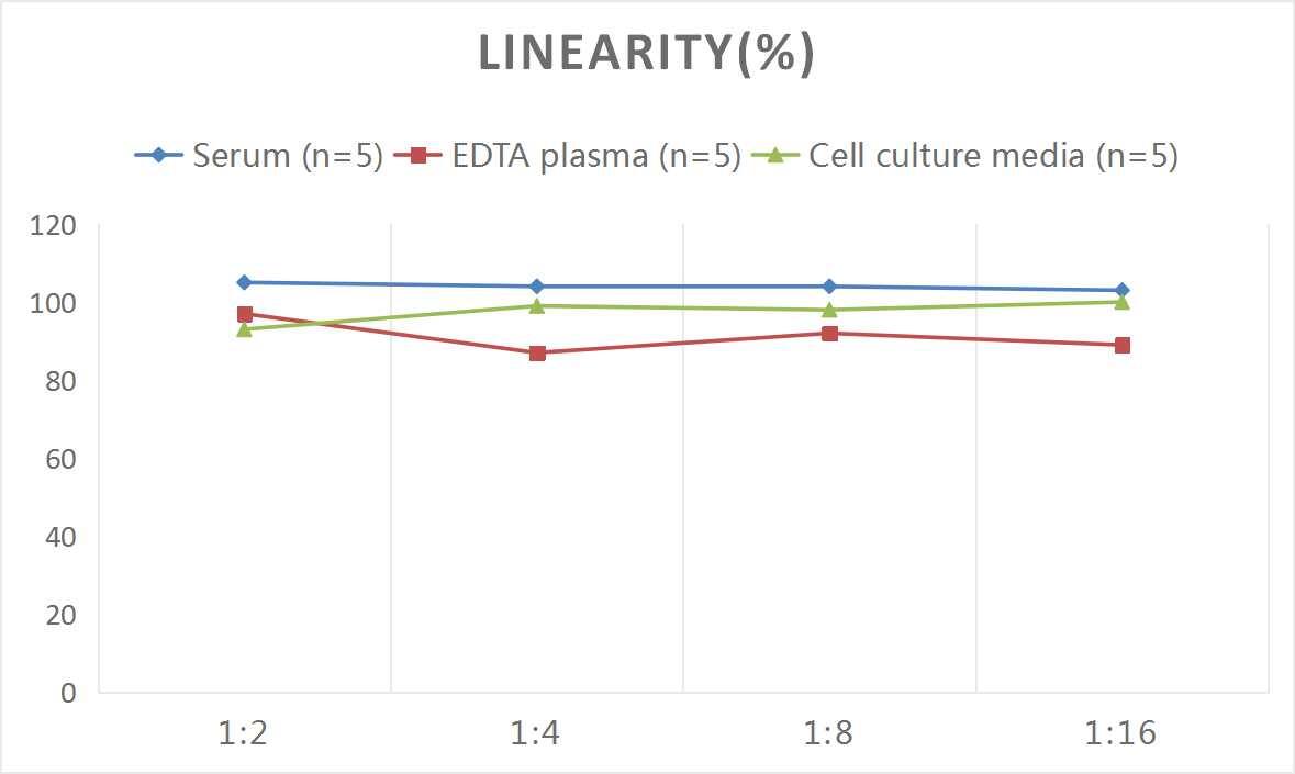 Mouse HSP60 ELISA Kit (Colorimetric)