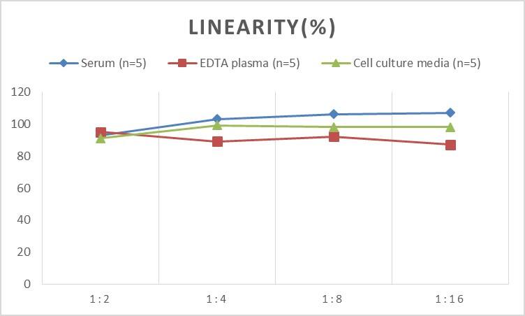 Rat HSP60 ELISA Kit (Colorimetric)