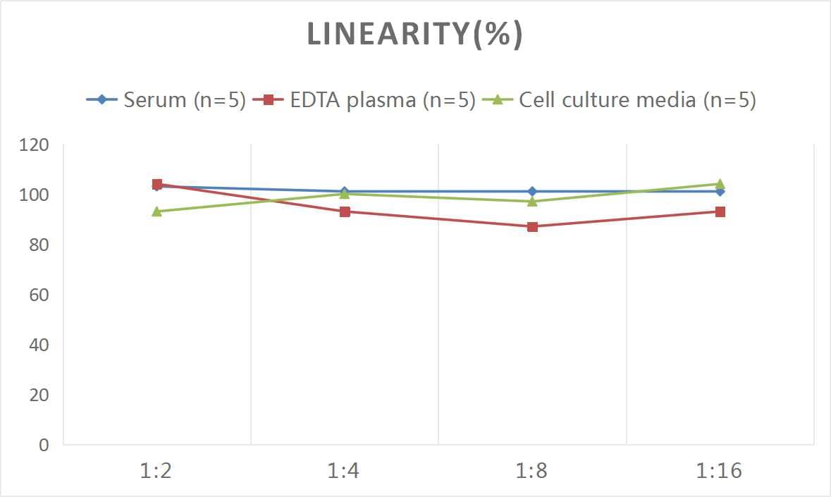 Human HSP60 ELISA Kit (Colorimetric)