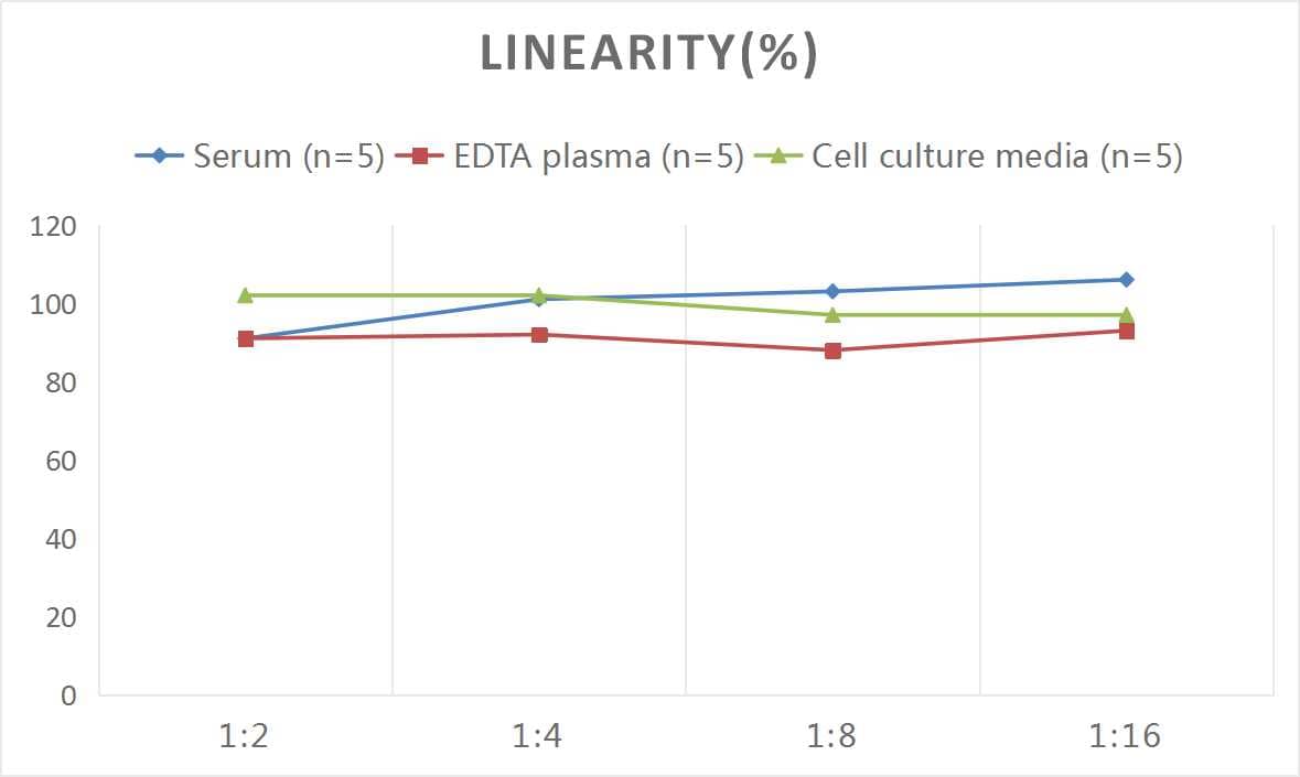 Mouse GRP75/HSPA9B/Mortalin ELISA Kit (Colorimetric)