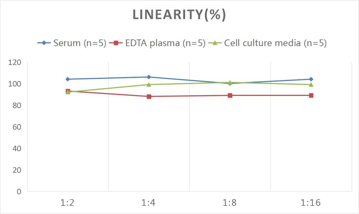 Rat GRP75/HSPA9B/Mortalin ELISA Kit (Colorimetric)