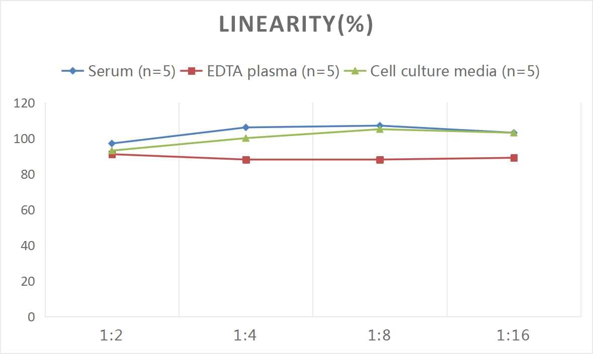 Human HSP90 ELISA Kit (Colorimetric)