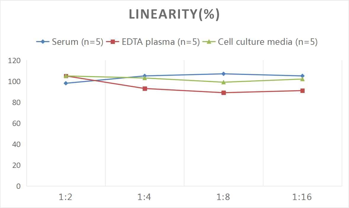 Mouse HSP90 ELISA Kit (Colorimetric)