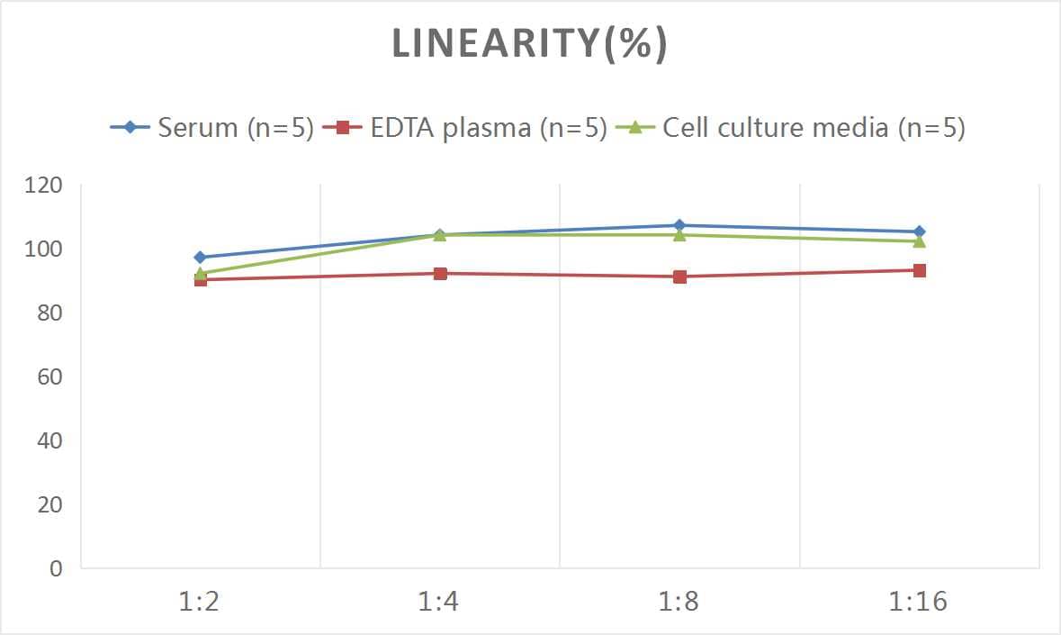 Rat HSP90 ELISA Kit (Colorimetric)