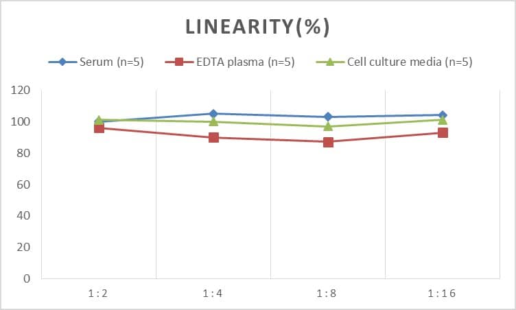 Human gp96/HSP90B1/GRP94 ELISA Kit (Colorimetric)