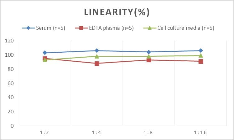 Rat gp96/HSP90B1/GRP94 ELISA Kit (Colorimetric)