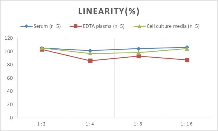 Human HSP20/HSPB6 ELISA Kit (Colorimetric)