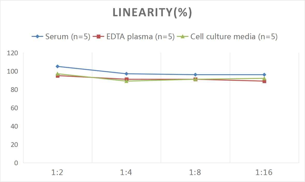 Mouse KISS1 ELISA Kit (Colorimetric)