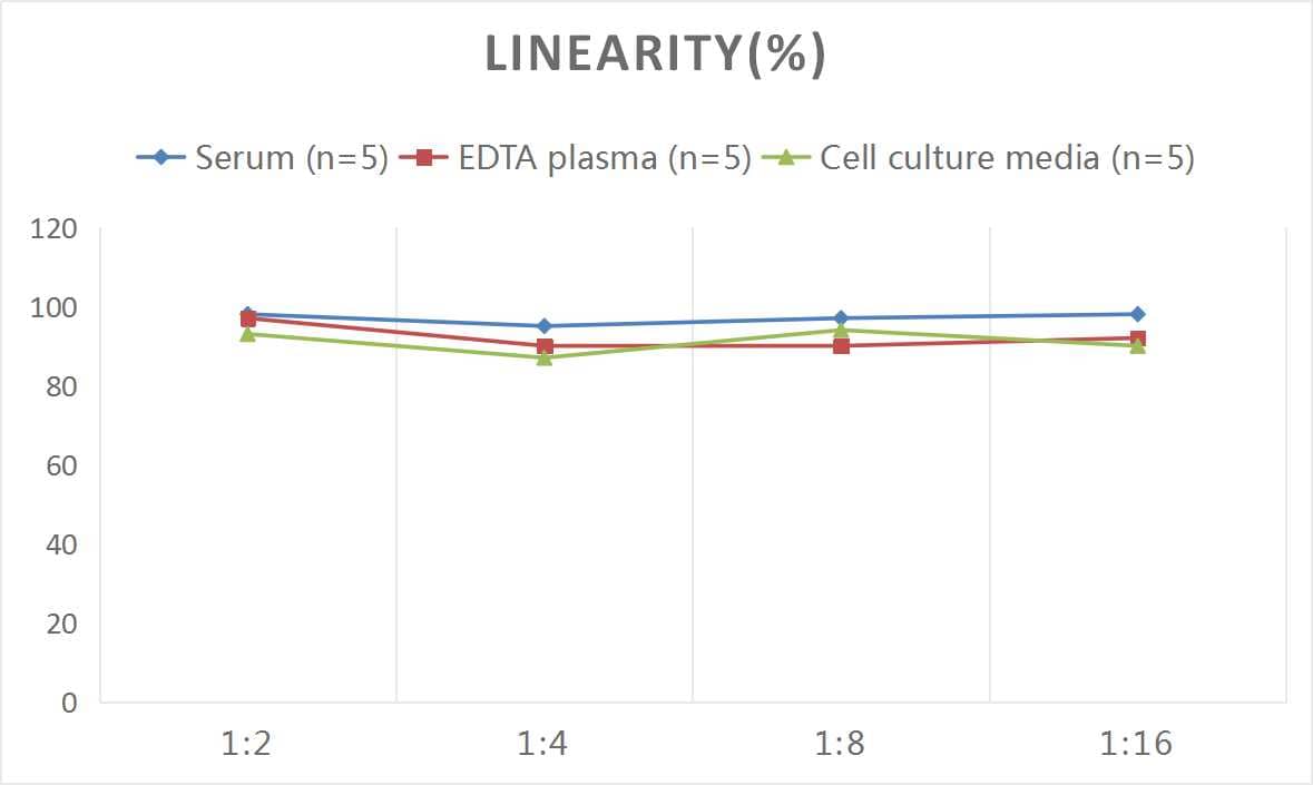 Mouse TRACP/PAP/ACP5 ELISA Kit (Colorimetric)