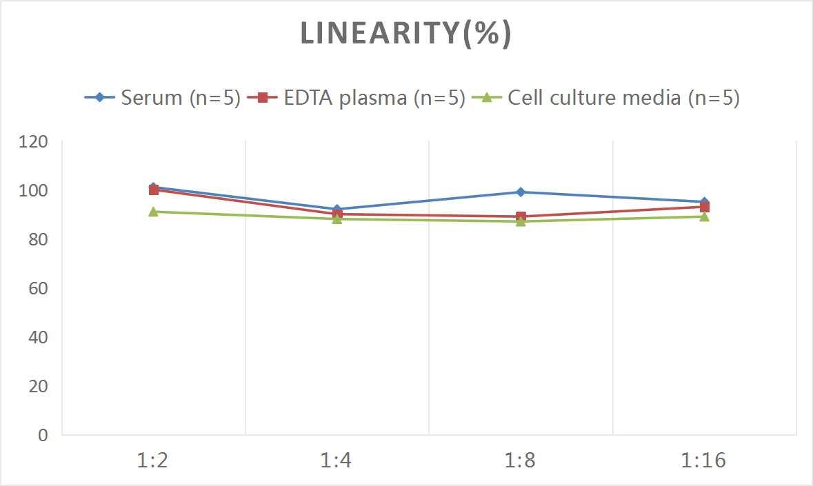 Rat TRACP/PAP/ACP5 ELISA Kit (Colorimetric)