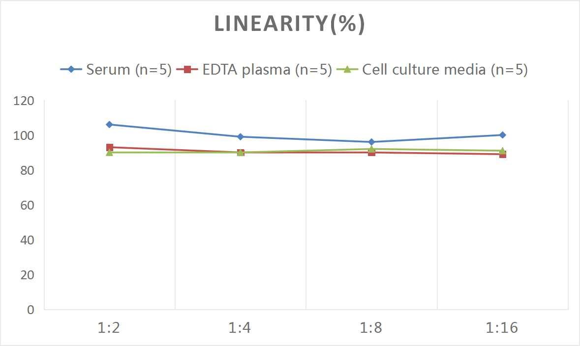 Rat TLR2 ELISA Kit (Colorimetric)