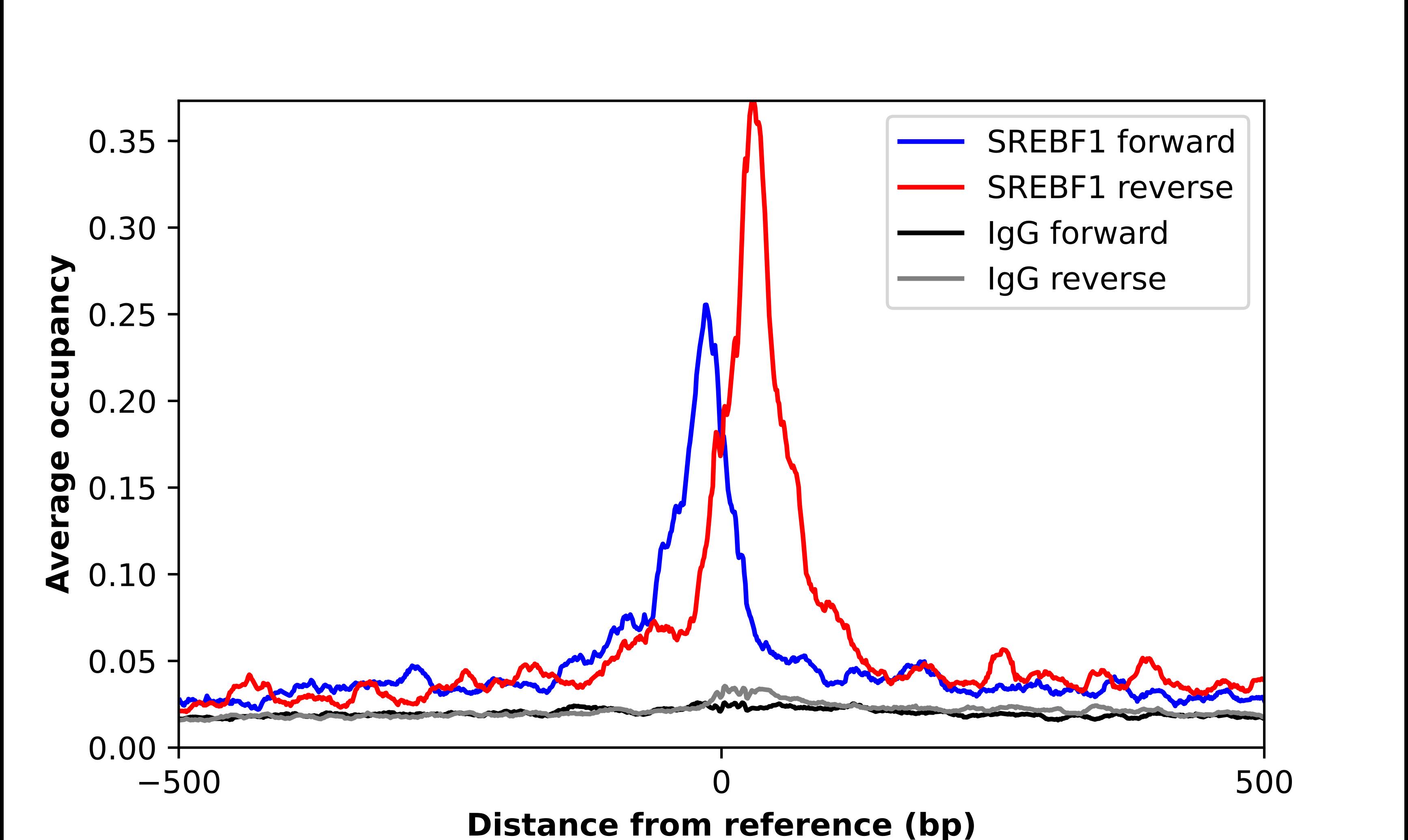 SREBP1 Antibody - BSA Free Chromatin Immunoprecipitation ChIP: SREBP1 Antibody - BSA Free