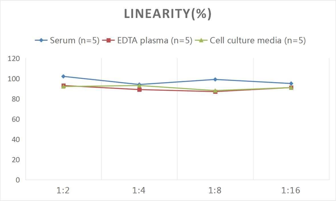 Rat TLR9 ELISA Kit (Colorimetric)