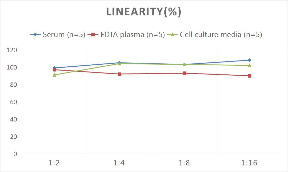 Rat IL-18/IL-1F4 ELISA Kit (Colorimetric)