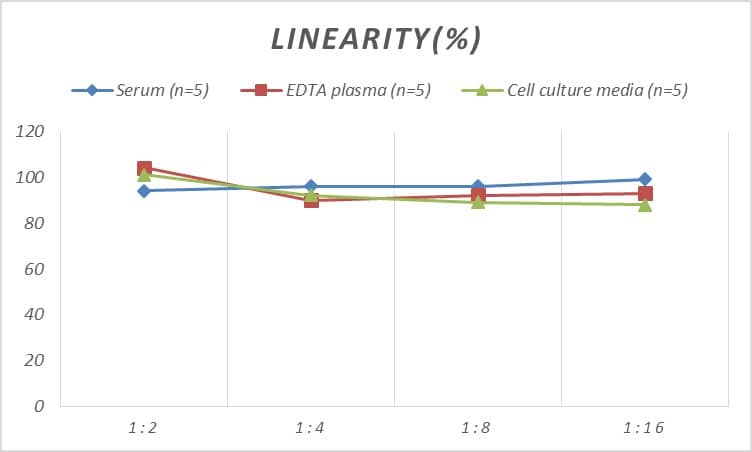 Rat IL-18 BPa/IL18BP ELISA Kit (Colorimetric)