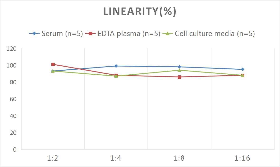 Rat Hsp47 ELISA Kit (Colorimetric)