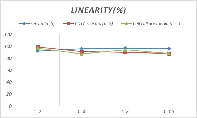 Rat HspA4 ELISA Kit (Colorimetric)