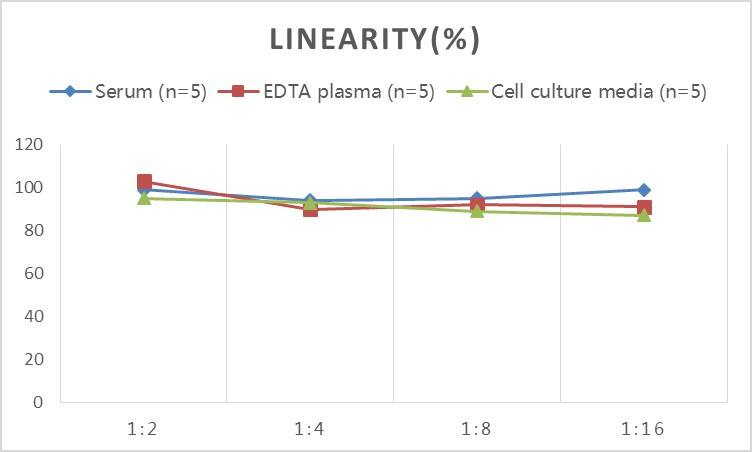 Human Syndecan-2/CD362 ELISA Kit (Colorimetric)