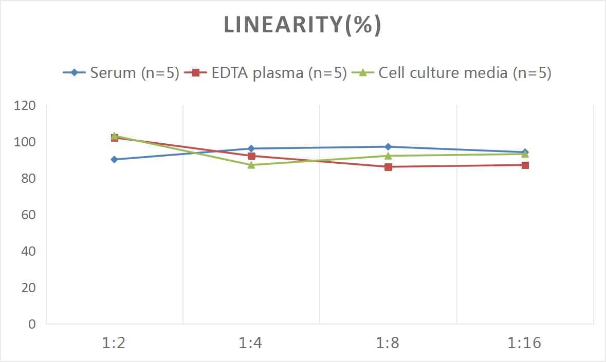 Rat Syndecan-2/CD362 ELISA Kit (Colorimetric)