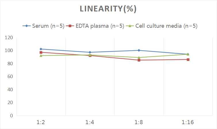 Human HTRA1/PRSS11 ELISA Kit (Colorimetric)