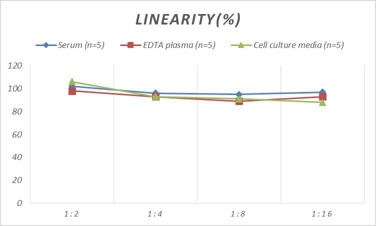 Rat ORP150/HSP12A ELISA Kit (Colorimetric)