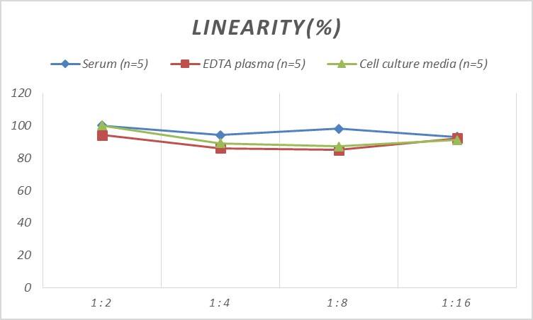 Rat HSF1 ELISA Kit (Colorimetric)