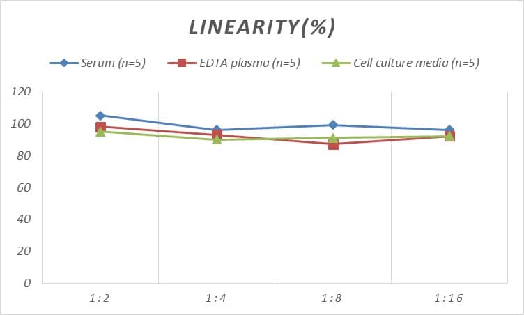 Human HSF2 ELISA Kit (Colorimetric)