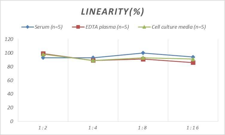 Mouse HSF2 ELISA Kit (Colorimetric)