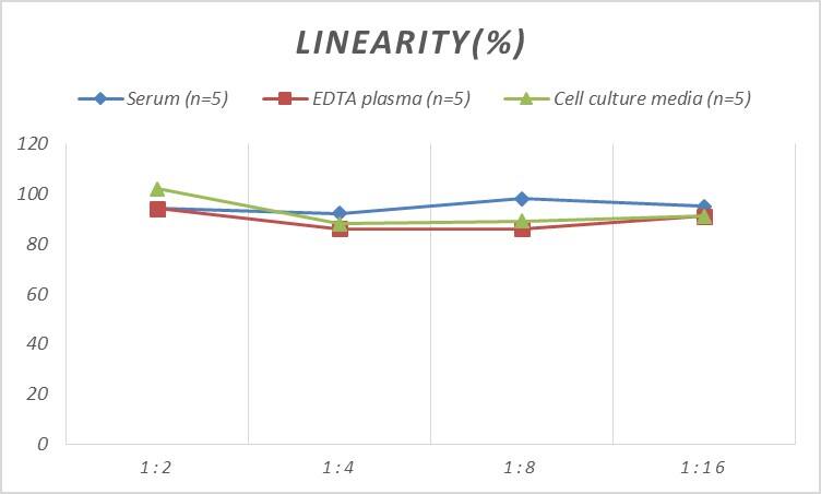 Rat HSF2 ELISA Kit (Colorimetric)