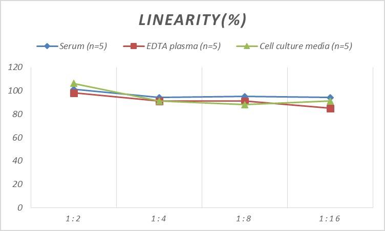 Human TNKS2 ELISA Kit (Colorimetric)