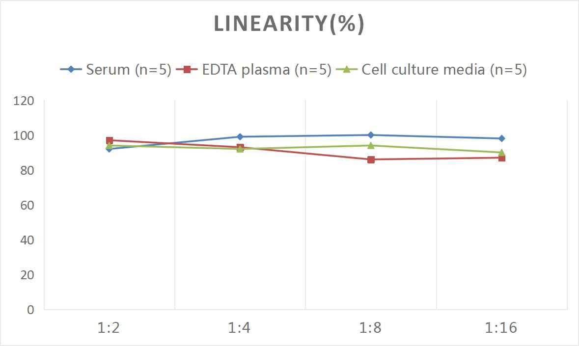 Mouse Syndecan-1/CD138 ELISA Kit (Colorimetric)