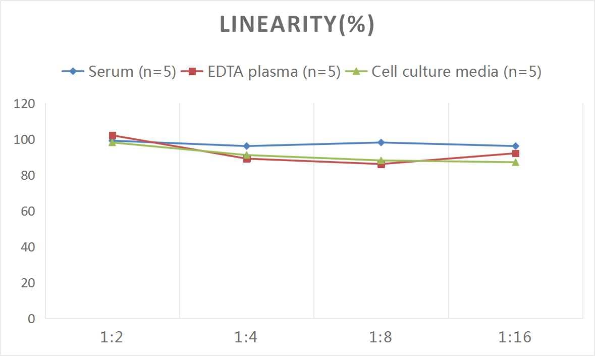 Rat Syndecan-1/CD138 ELISA Kit (Colorimetric)