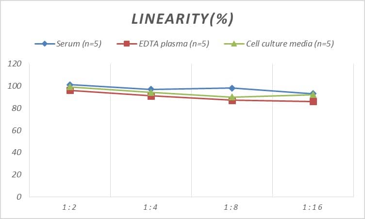 Mouse Smad1 ELISA Kit (Colorimetric)