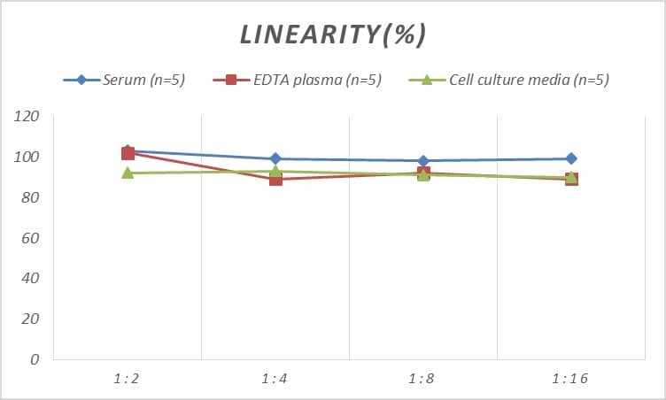 Rat Smad1 ELISA Kit (Colorimetric)